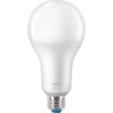 Colors LED-Lampe 18,5 W A80 E27